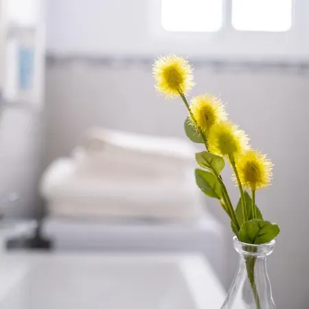 Bella Apartamento *
